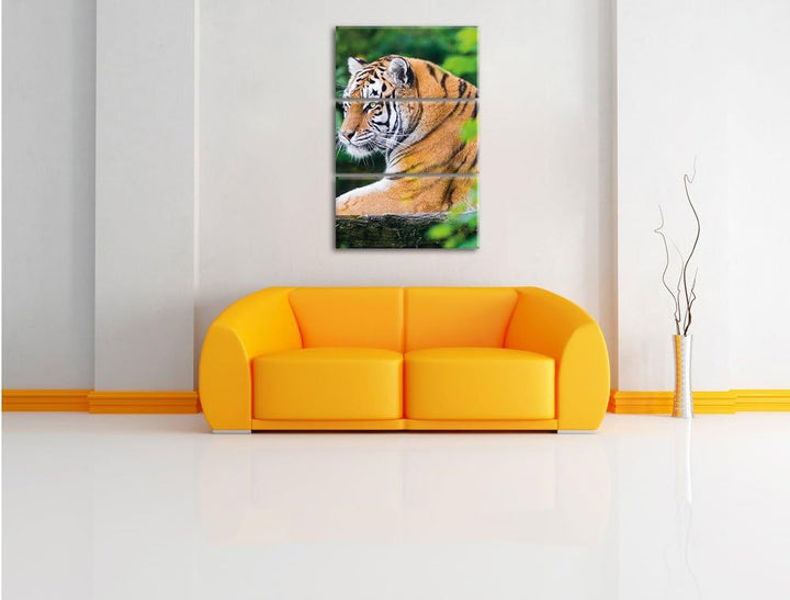 Pixxprint anmutiger Tiger auf Baumstamm als Leinwandbild/Grösse: 3 Teilig (120x80) cm/Wandbild/Kunst