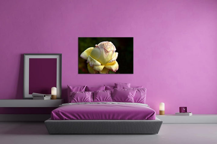 Vergänglichkeit der Natur Format: 80x60 als Leinwandbild, Motiv fertig gerahmt auf Echtholzrahmen, H