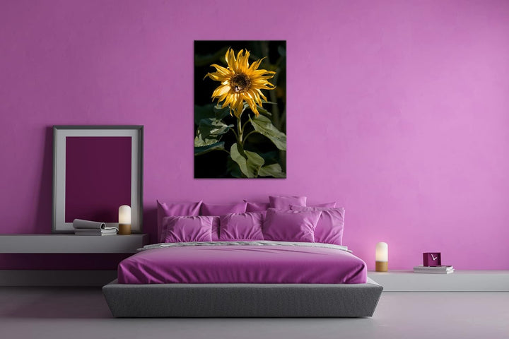 deyoli Blühende Sonnenblume Format:75x50 cm als Leinwandbild, Motiv fertig gerahmt auf Echtholzrahme