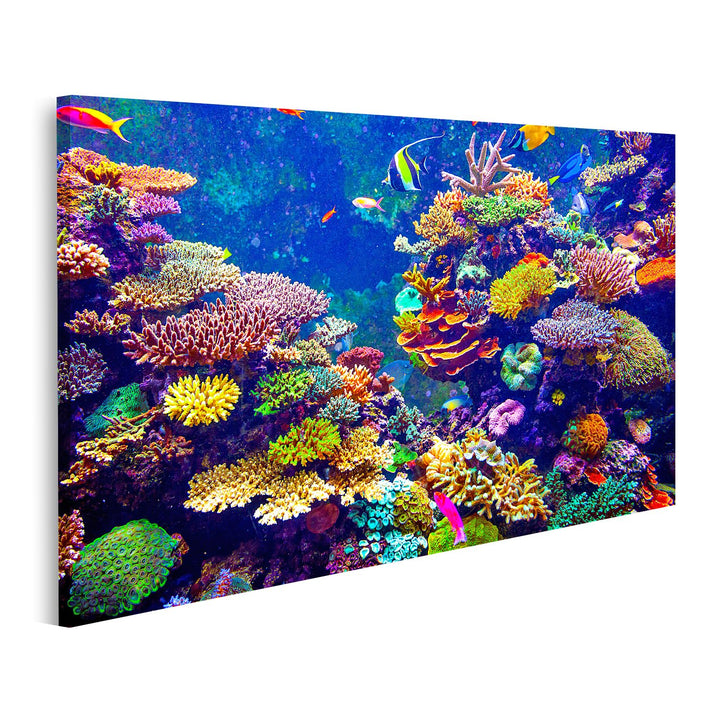 islandburner Bild auf Leinwand Singapur Aquarium Korallenriff Tropische Fische Sonnenlicht Bilder Wa