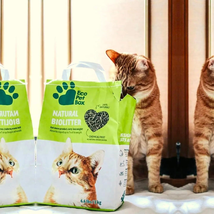 22L Bio Katzenstreu Pellets – natürliches & kompostierbares Katzenstreu aus Heu, ökologisches Einstr