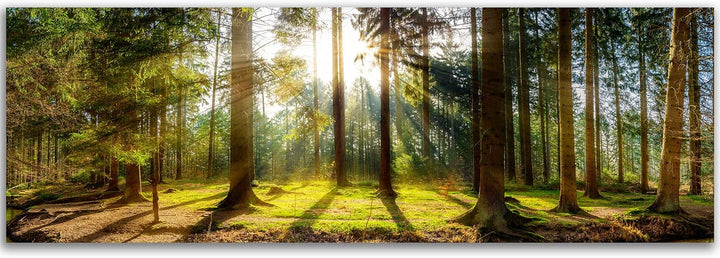 Feeby Bilder Wald Bäume Natur 90x30 cm Wohnzimmer Schlafzimmer Büro Flur Küche Wandbilder Modern Bil