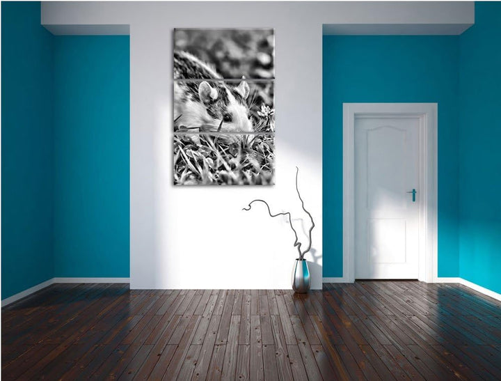 Pixxprint Maus auf Wiese als Leinwandbild/Grösse: 3 Teilig (120x80) / Wandbild/Kunstdruck/fertig bes