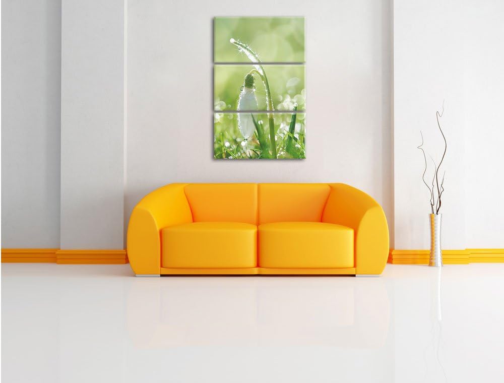 Pixxprint Schneeglöckchen auf Frühlingswiese als Leinwandbild/Grösse: 3 Teilig (120x80) cm/Wandbild/