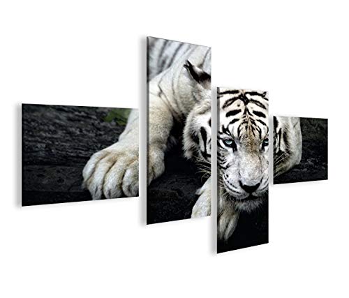 islandburner Bild Bilder auf Leinwand Bengalischer Tiger V2 4L XXL Poster Leinwandbild Wandbild Deko