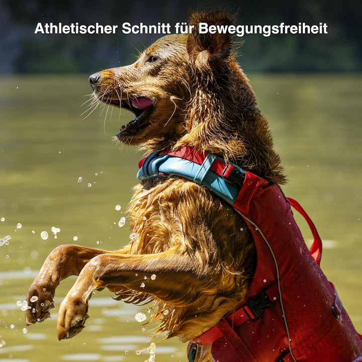 Kurgo Surf N Turf Hundeschwimmweste, Reissfestes Material, Mit Reflektoren und 2 Griffen ausgestatte