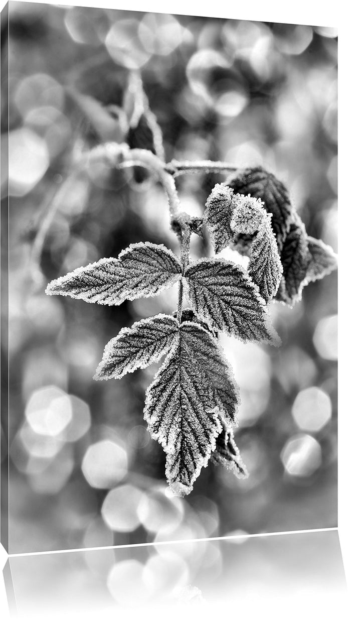Pixxprint Blätter im Winter Morgenfrost als Leinwandbild/Grösse: 100x70 / Wandbild/Kunstdruck/fertig
