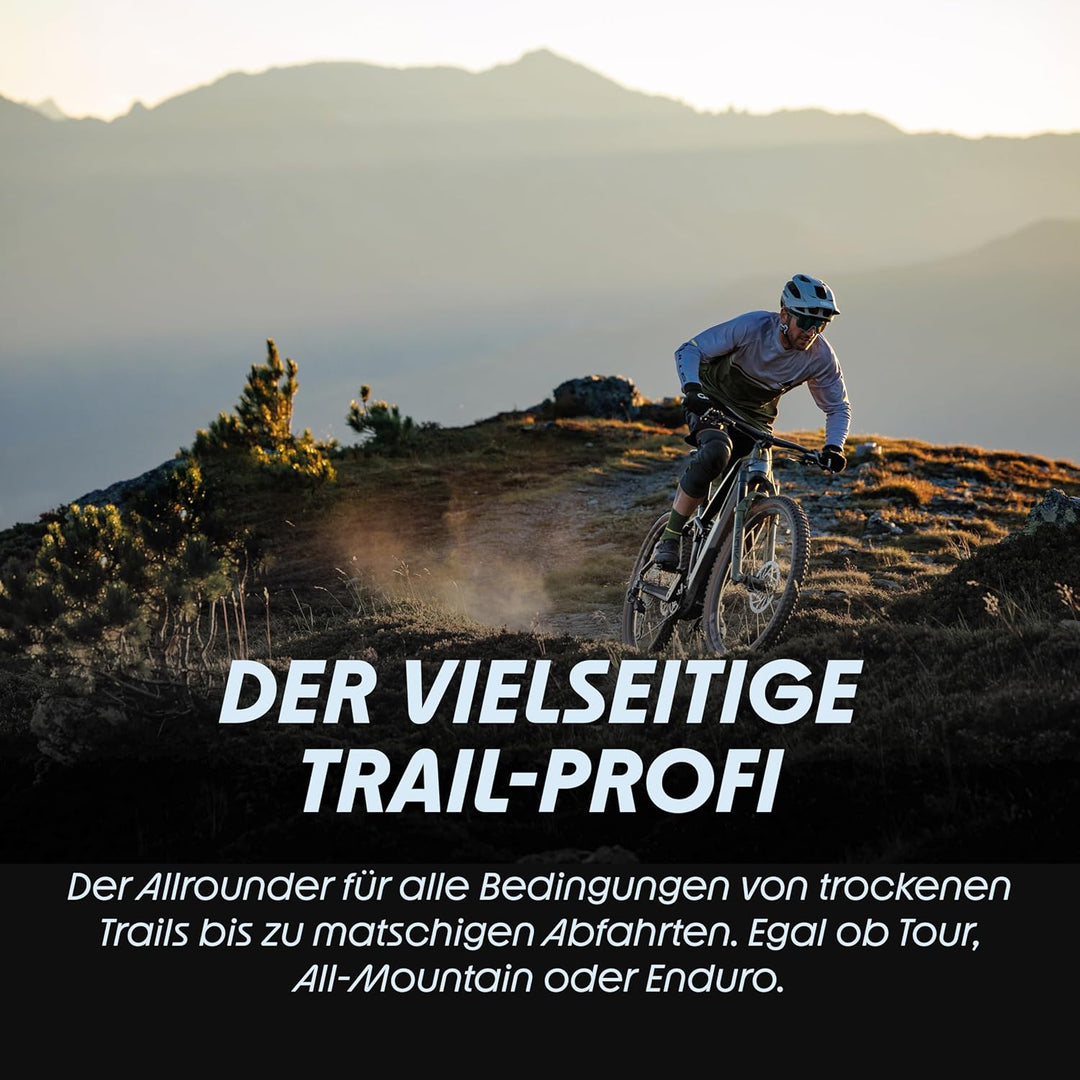 Schwalbe Nobby NIC Performance Faltreifen // 62-622 (29x2,40&