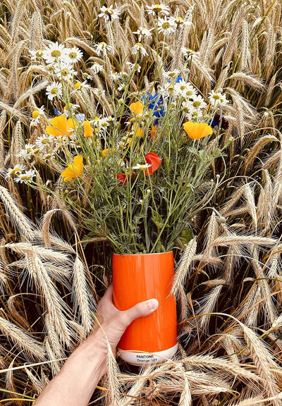 Pantone Porzellan Vase mit Geschenkbox, Jar, dekorative hochwertige Blumenvase, 1 Liter, Orange 021