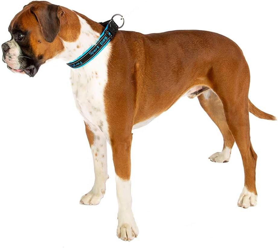 Ferplast Hundehalsband Sport Dog, Weich Gepolstertes Nylon Hunde Halsband für grosse Hunde, Verstell