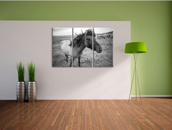 Isländer Pferde in der Wildnis / 3-Teilig/Gesamtmass 120cm Leinwandbild bespannt auf Holzrahmen/Wand