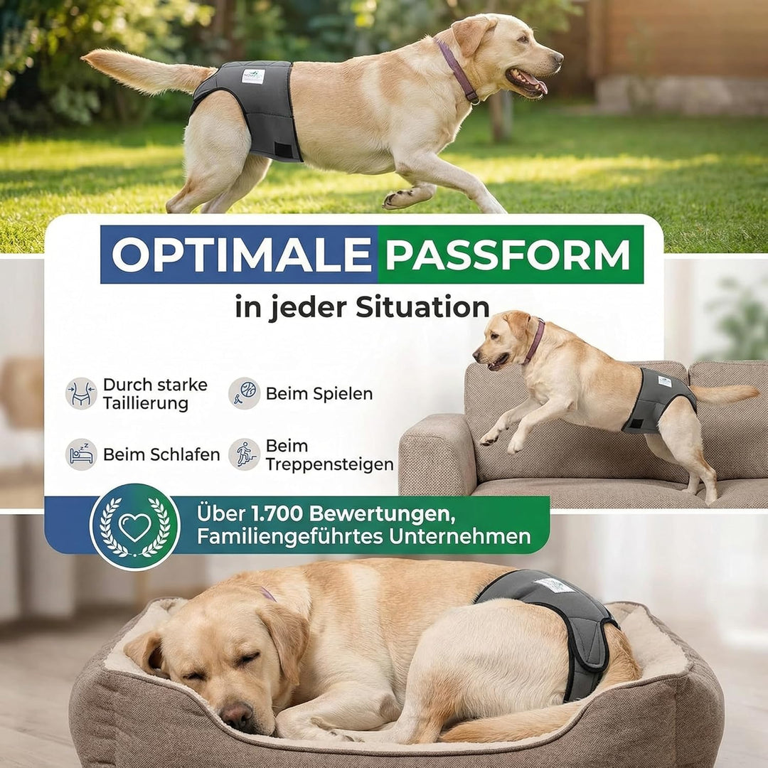 Läufigkeitshose für Hündinnen 2.0 - Hundewindeln aus hochwertigem perforiertem Neopren für einen opt