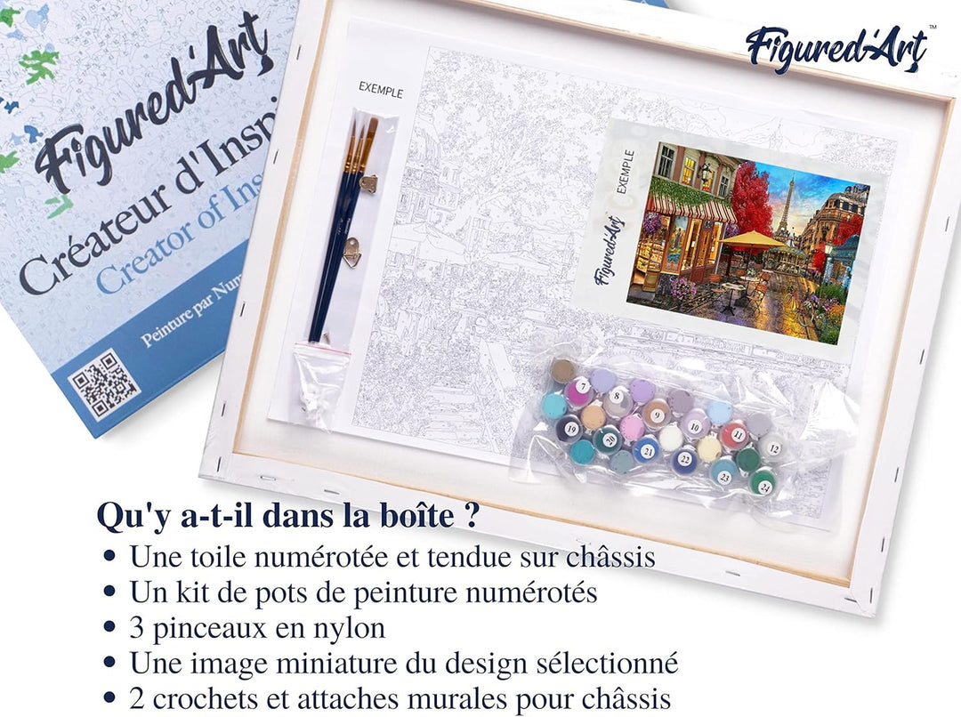 Figured'Art Malen Nach Zahlen Erwachsene Mit Rahmen Veranda in Paris - Paint by Numbers Basteln DIY