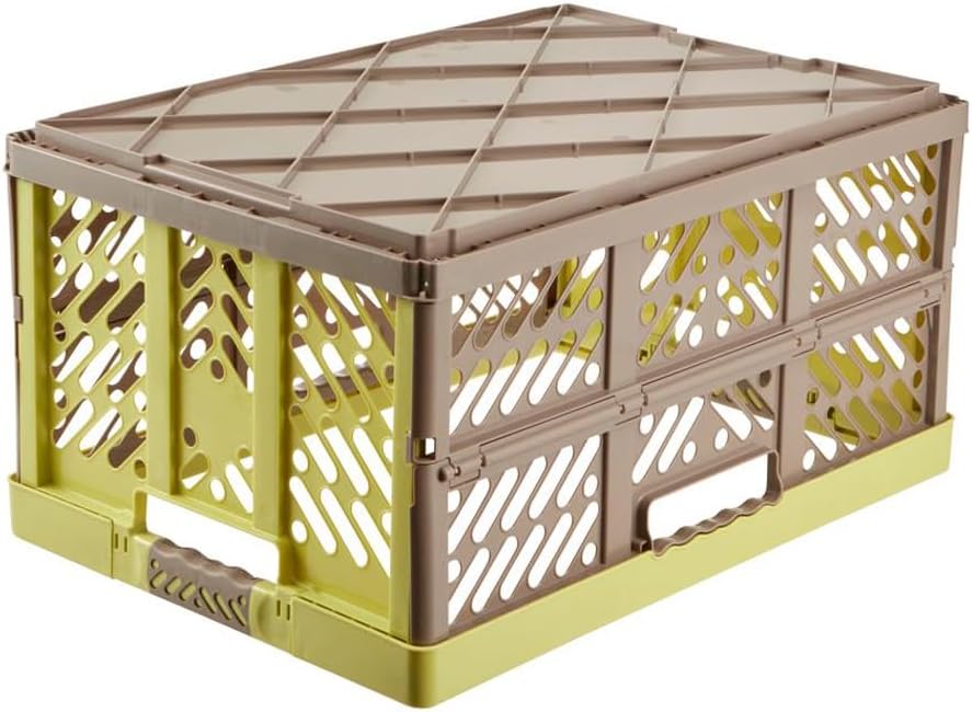 keeeper 4x Stabile Profi-Klappboxen mit Soft-Touch Griffen, 54 x 37 x 28 cm, 45 l, Ben, Grün/ Taupe