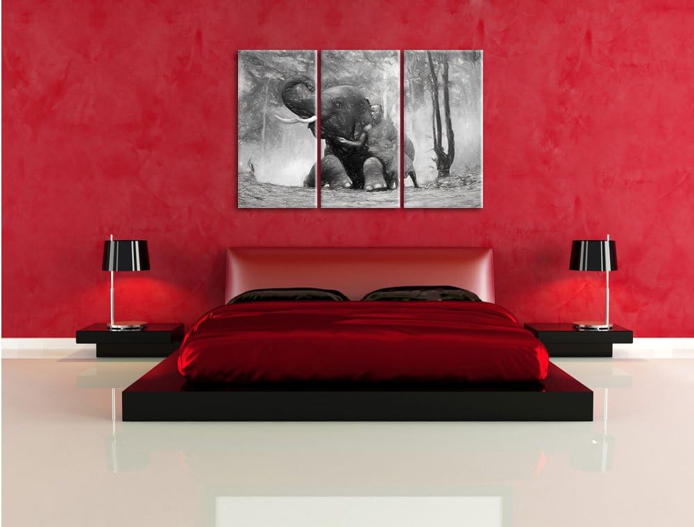 Pixxprint Mönch mit Elefanten im Wald / 3-Teilig/Gesamtmass 120cm Leinwandbild bespannt auf Holzrahm