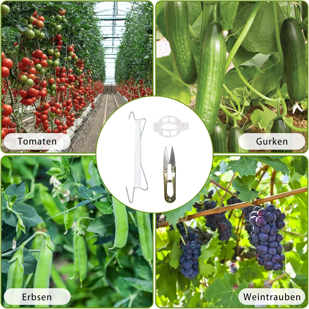 Tomatenhaken mit Schnur, 50Stück Tomatenhaken Metall, Robuster Tomatenhaken | Tomatenhaken mit 100 P
