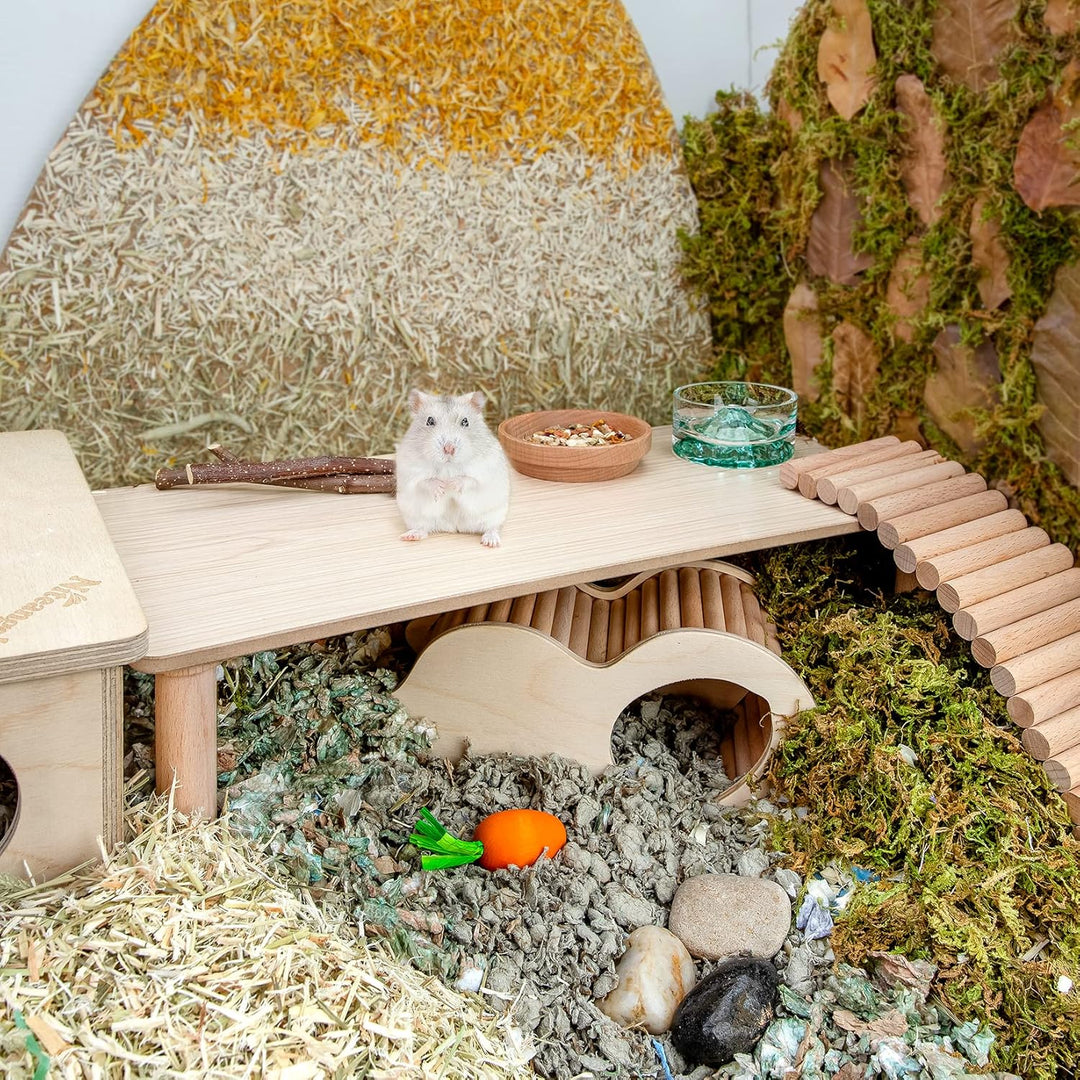 Niteangel Hamster Spielpodest aus Holz für Zwerghamster, Syrische Hamster, Gerbils, Mäuse, Degus ode