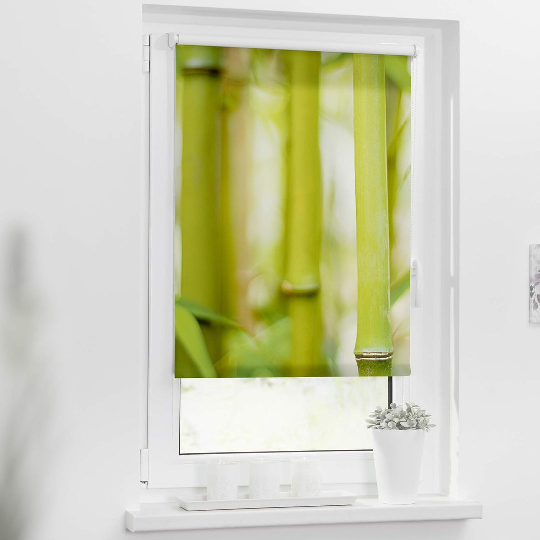 Lichtblick Klemmfix Tageslicht-Rollo mit Motiv, ohne Bohren, Blickdicht, Seitenzugrollo, Made in Ger