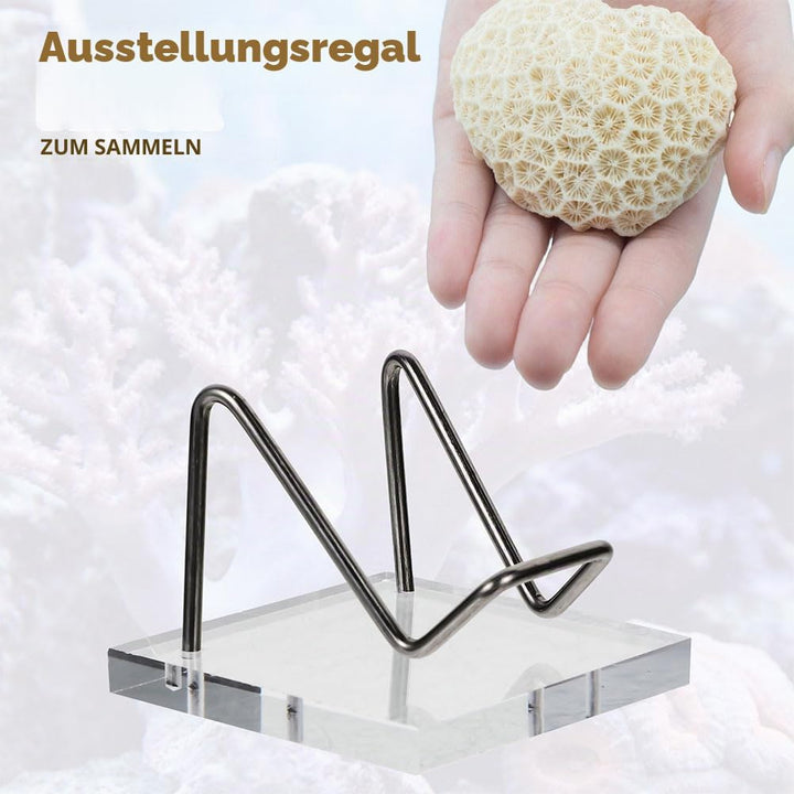 ABOOFAN 2 Stück Mineralienständer aus Metall mit Acrylsockel - Kleiner Präsentationsständer für Kris