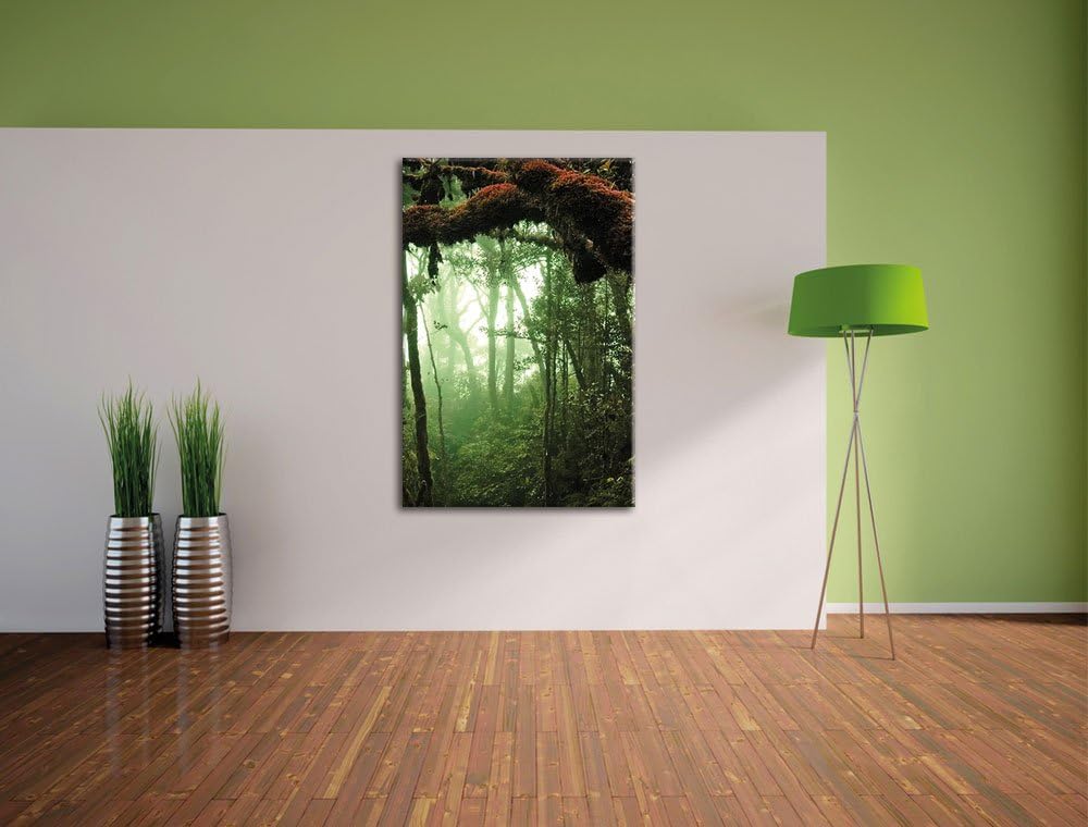 Pixxprint Regenwald Moos Lianen See / 100x70cm Leinwandbild bespannt auf Holzrahmen/Wandbild Kunstdr