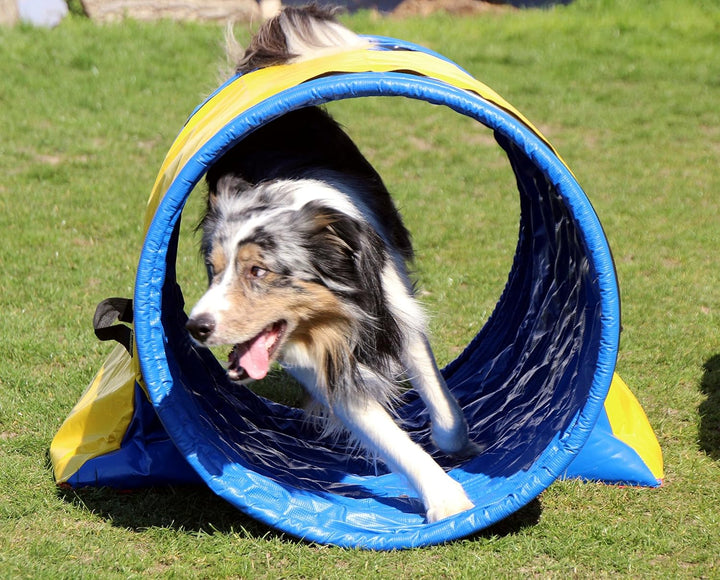 Callieway Hoopers Agility Tunnel Set “Profi”– Orig Tunnelset für JAD (2 STK.) für Hoopers & JAD Hund