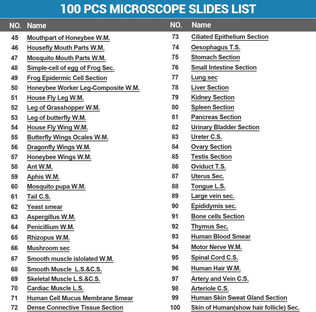 100P Mikroskop Objektträger mit biologischen Proben,Tiere, Insekten, Pflanzen, menschliches Gewebe,