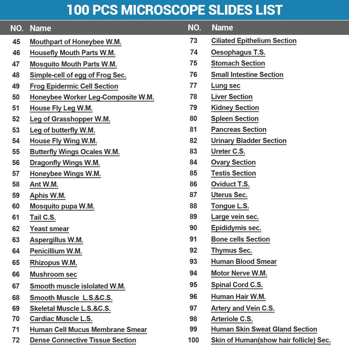 100P Mikroskop Objektträger mit biologischen Proben,Tiere, Insekten, Pflanzen, menschliches Gewebe,