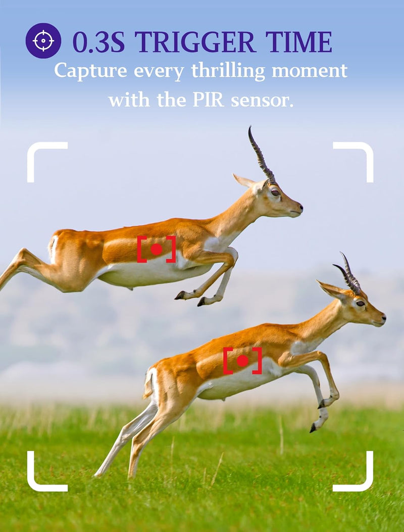 2tlg. Wildkamera Fotofalle Beute Kamera JagdKamera, 32MP HD Video, 36pcs IR LED No-Glow Nachtsicht W