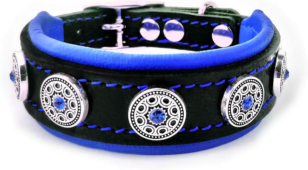 Bestia Bijou Hundehalsband aus echtem Leder S - passt auf einen Hals von 25 bis 30 cm Schwarz & Blau
