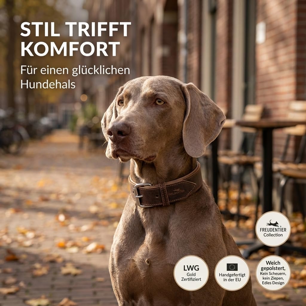 FREUDENTIER Hundehalsband aus Leder, Made in Holland, gefüttert & super komfortabel, hochwertiges br