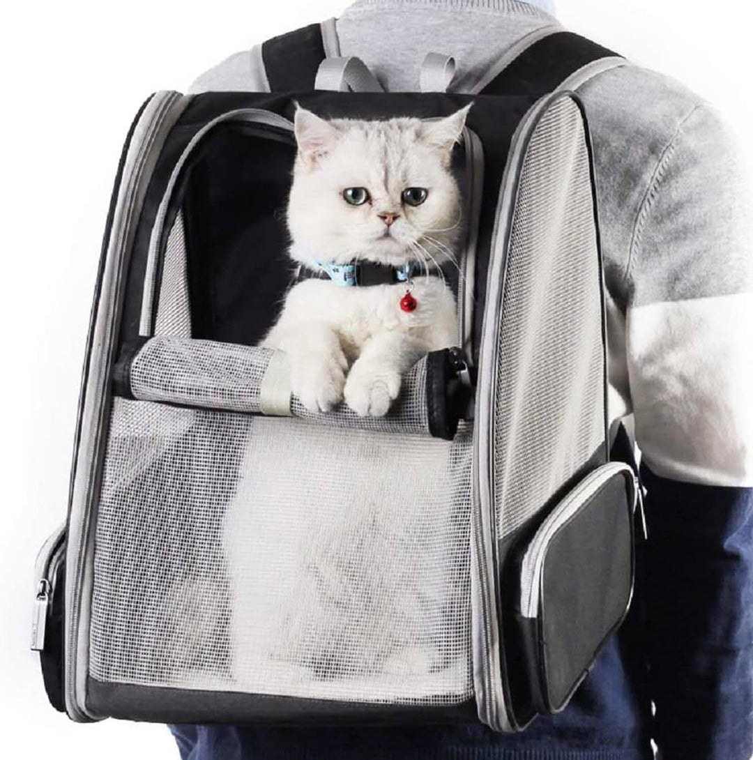 Haustier-Rucksack für Hunde, Katzen, Welpen, Vollständig Belüftetes Netzgewebe, von Fluggesellschaft
