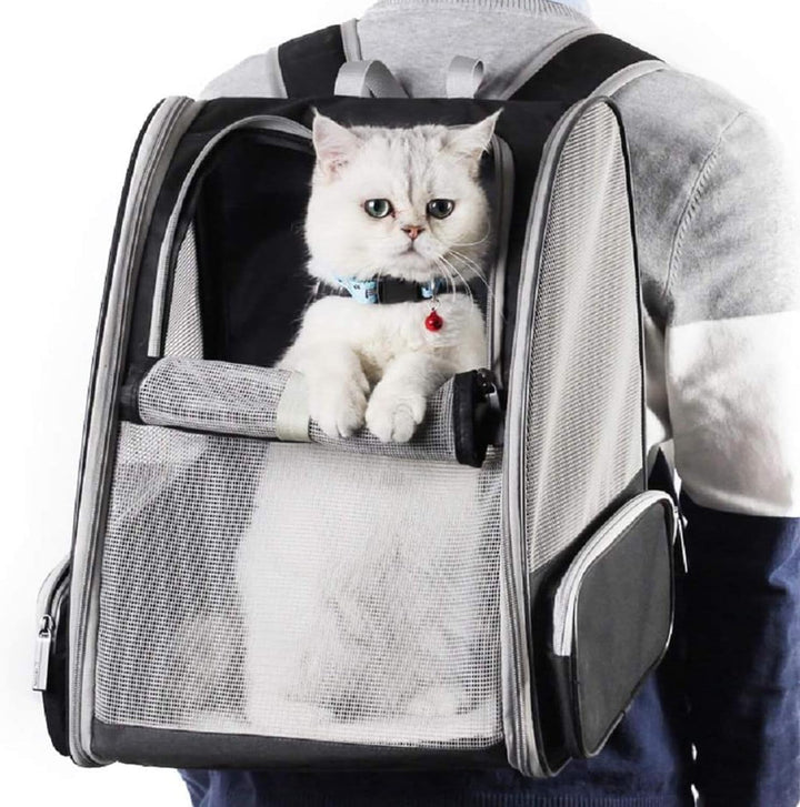 Haustier-Rucksack für Hunde, Katzen, Welpen, Vollständig Belüftetes Netzgewebe, von Fluggesellschaft