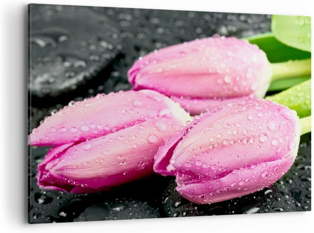 Bilder auf Leinwand 100x70cm Leinwandbild Tulpen Tau Steine Pflanze Gross Wanddeko Bild Schlafzimmer