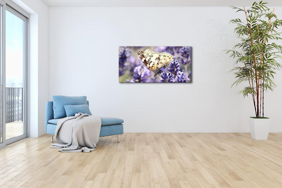 süsser Schmetterling Panorama 80x40 cm als Leinwandbild, Motiv fertig gerahmt auf Echtholzrahmen, Ho