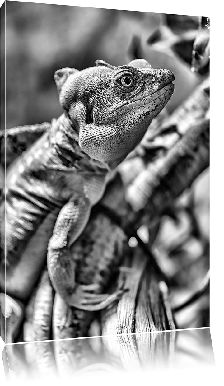 Pixxprint Monocrome, grünes Chamäleon, Format: 100x70 auf Leinwand, 100x70
