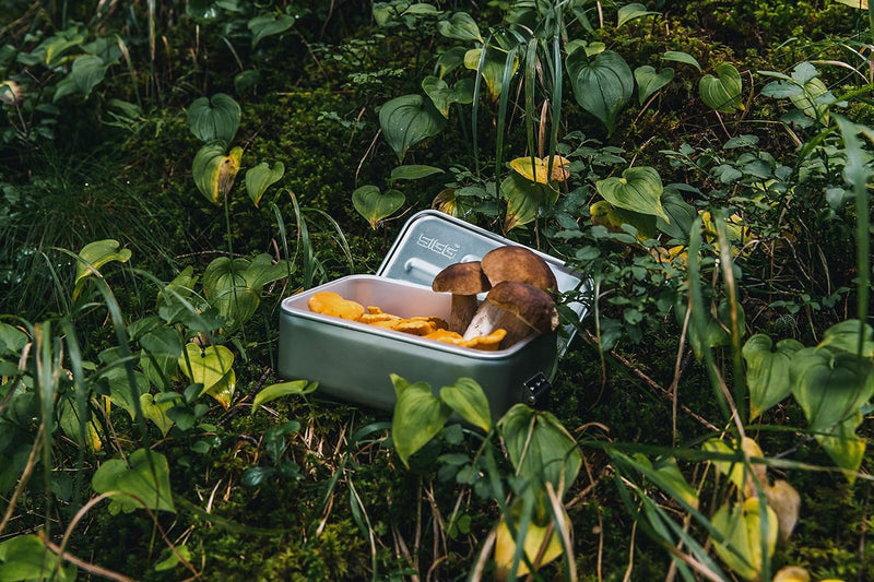 SIGG - Alu Lunchbox Plus - Brotdose Mit Unterteilung - Preisgekrönt - Spülmaschinenfest & Mikrowelle