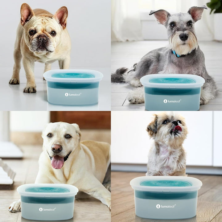 LumoLeaf Wassernapf für Hunde, kein Verschütten, langsamer Futterspender, hält Maul trocken, tropffr