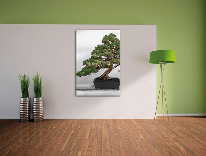 Pixxprint Bonsai Baum auf Holztisch als Leinwandbild/Grösse: 120x80 / Wandbild/Kunstdruck/fertig bes