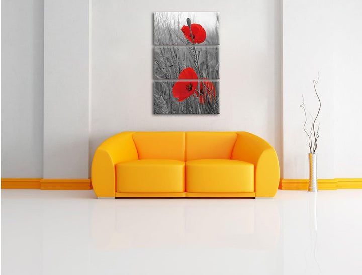 Pixxprint einzelne Mohnblumen im Getreidefeld als Leinwandbild/Grösse: 3 Teilig (120x80 cm) cm/Wandb