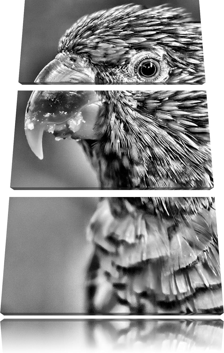 Pixxprint farbenfroher Papagei als Leinwandbild/Grösse: 3 Teilig (120x80) cm/Wandbild/Kunstdruck/fer