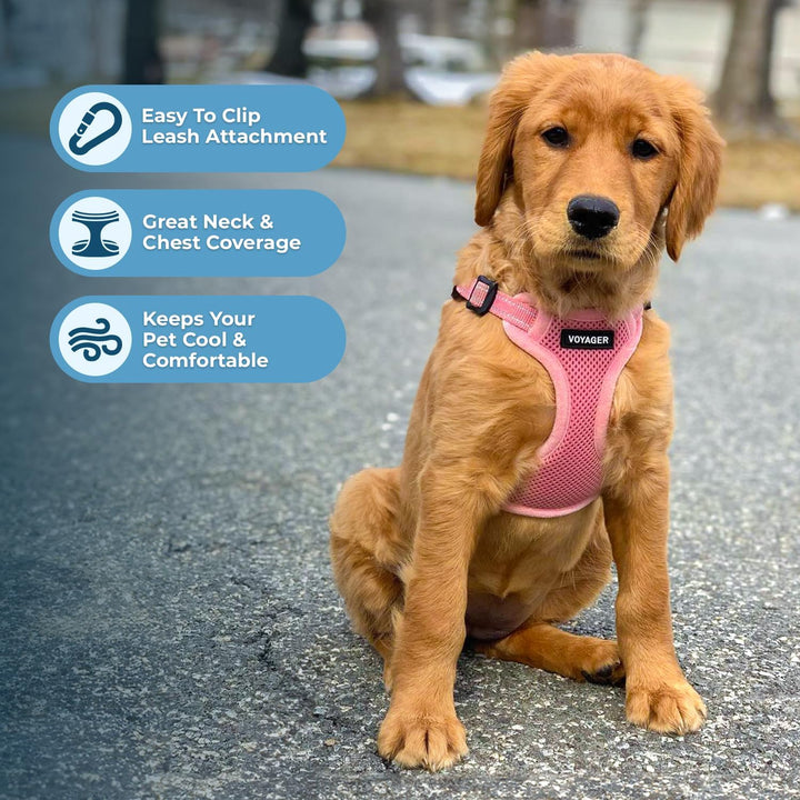 Voyager Verstellbares Hundegeschirr mit Reflektorstreifen by Best Pet Supplies - Strapazierfähige Ga