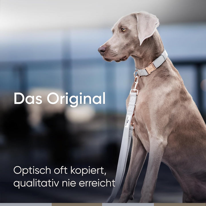 FREUDENTIER® Hundehalsband und Hundeleine (2m) aus veganem Leder im Set - Stilvoll und robust - Für