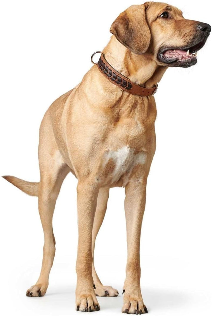 HUNTER EL PASO Hundehalsband, Leder, geschmeidig, geflochten, 50 (S-M), cognac/schwarz 50 (S-M) cogn