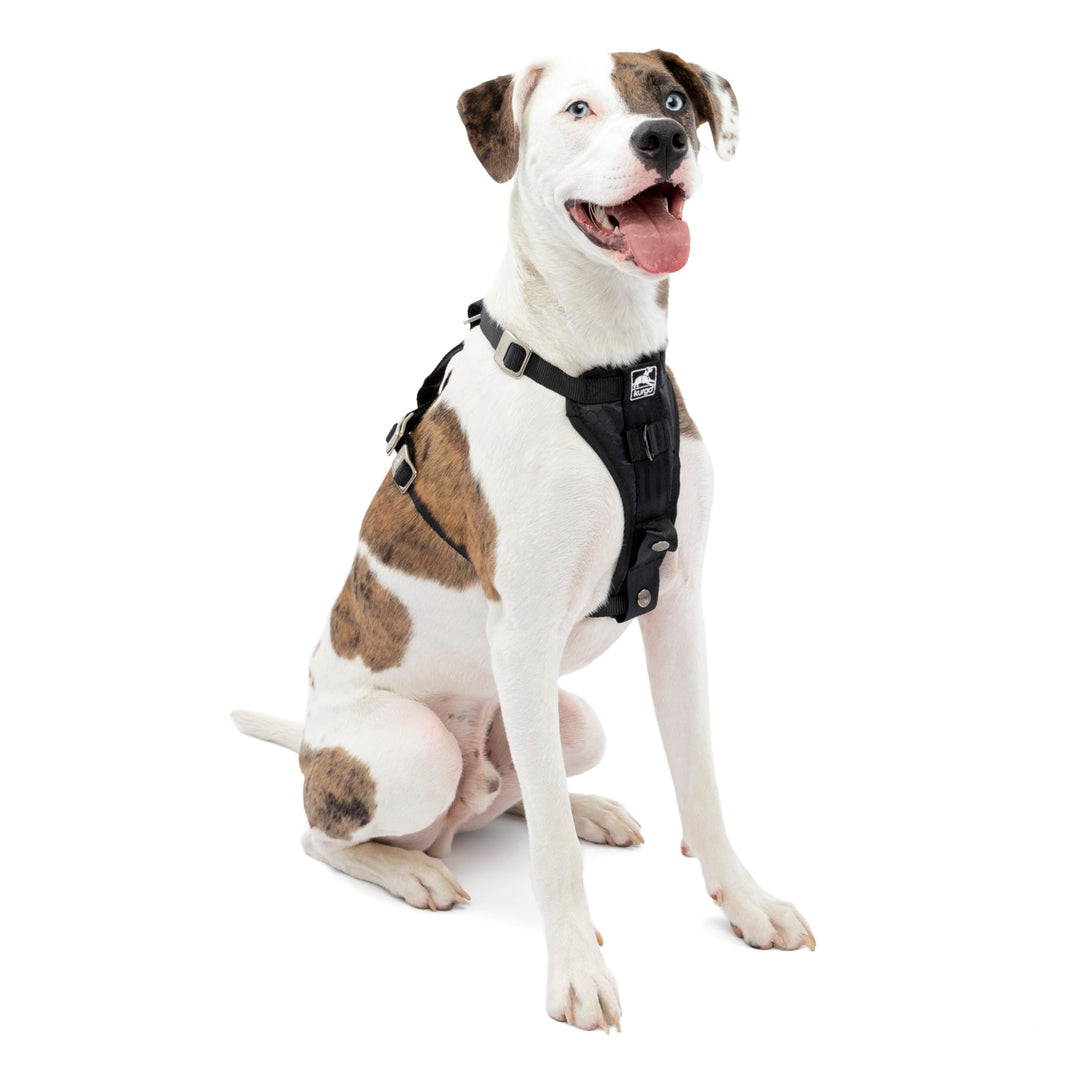 Kurgo Tru-Fit Hundegeschirr, Crash-Test-erprobtes Auto-Sicherheitsgurt, Für Hunde von 11 bis 23 kg,