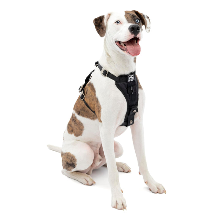 Kurgo Tru-Fit Hundegeschirr, Crash-Test-erprobtes Auto-Sicherheitsgurt, Für Hunde von 11 bis 23 kg,