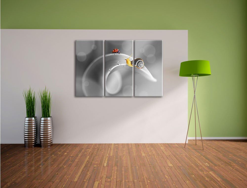 Pixxprint eine Schnecke und Marienkäfer auf Einer Pflanze B&W Detail 3-Teiler Leinwandbild 120x80 Bi