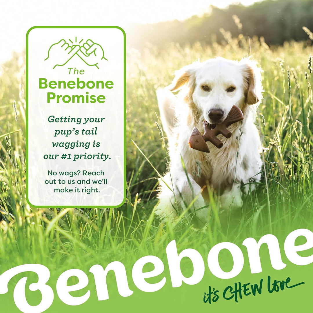 Benebone Durable Dog Chew Toy Box for Aggressive Chewers with Wishbone, Fishbone, Stick & Zaggler, M