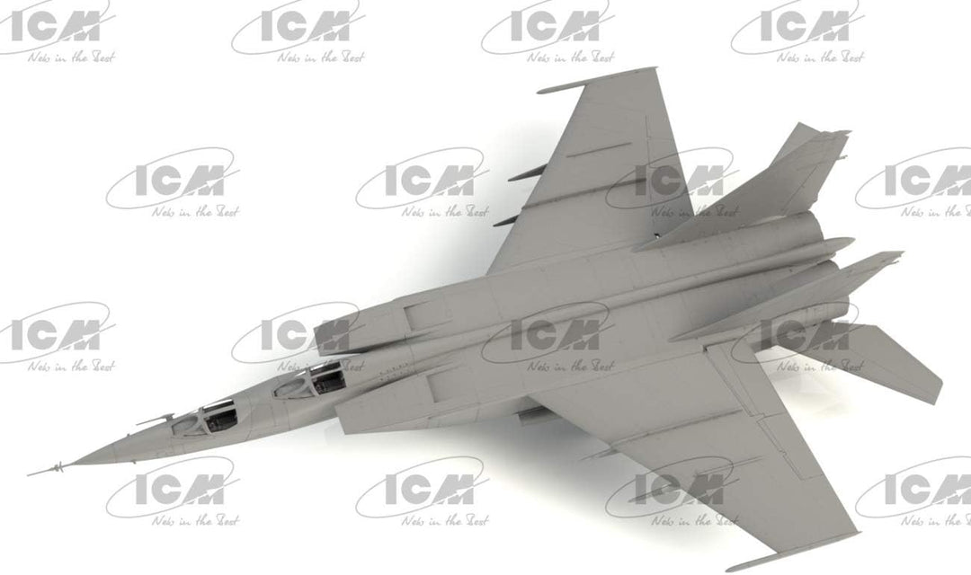 ICM ICM72178 Modellbausatz, Schwarz