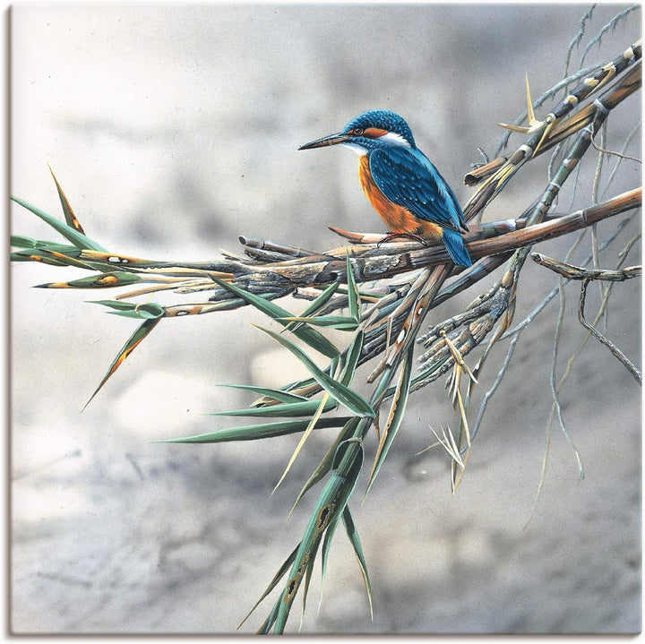 ARTland Leinwandbilder Wandbild Bild auf Leinwand 50x50 cm Wanddeko Eisvogel Tiere Vögel Natur Lands