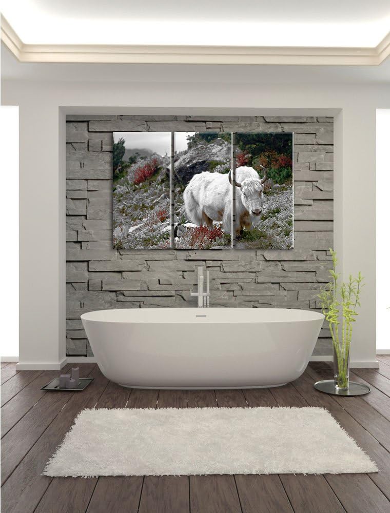 Pixxprint Schönes Yak Himalaya B&W Detail 3-Teiler Leinwandbild 120x80 Bild auf Leinwand